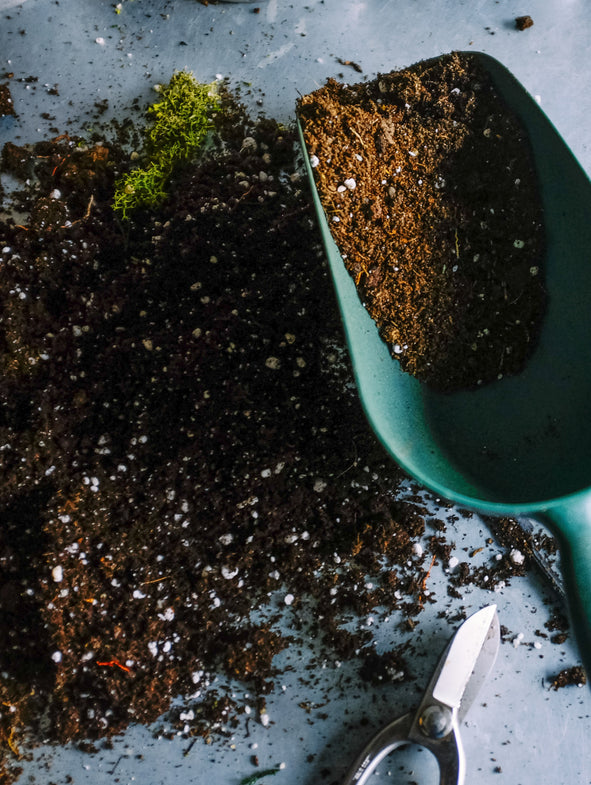 Peat Free Compost - 40L - Wide Border